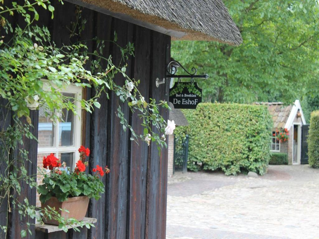Hoeve De Eshof Norg Exteriör bild